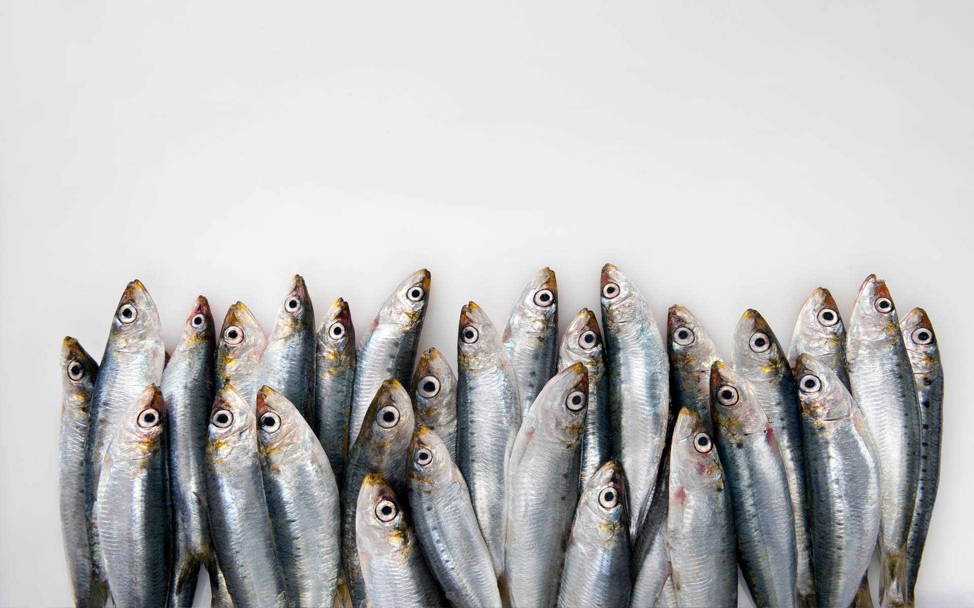 The Best Raw Materials